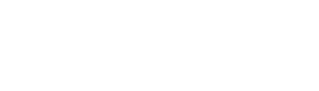 Programa PR1MER